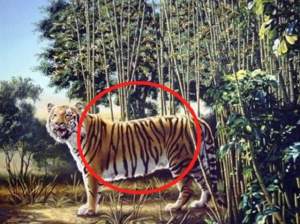FOTO / E cel mai greu puzzle de până acum! Tu vezi cel de-al doilea tigru din imagine?