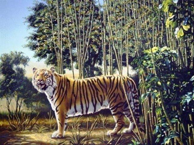 FOTO / E cel mai greu puzzle de până acum! Tu vezi cel de-al doilea tigru din imagine?