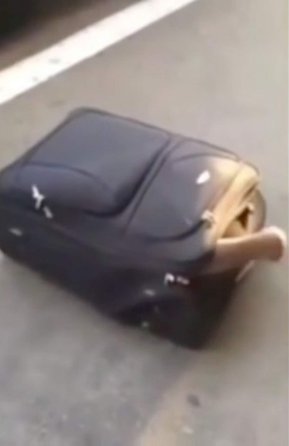 FOTO / Gest disperat! Ce avea un bărbat într-o valiză? Imaginile au stârnit reacţii în întreaga lume