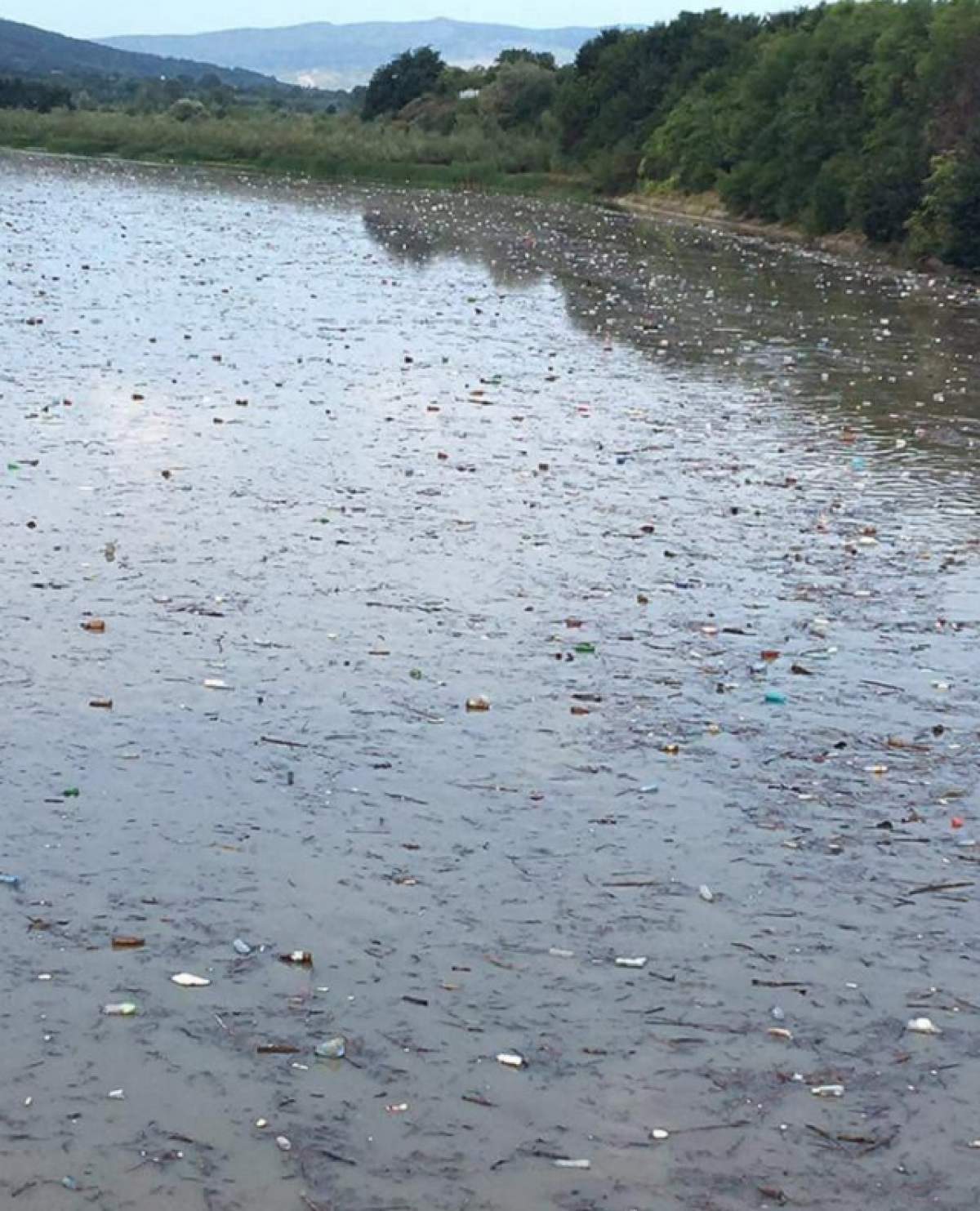 Imagini deplorabile pe râul Buzău!  Mii de gunoaie plutesc pe apă