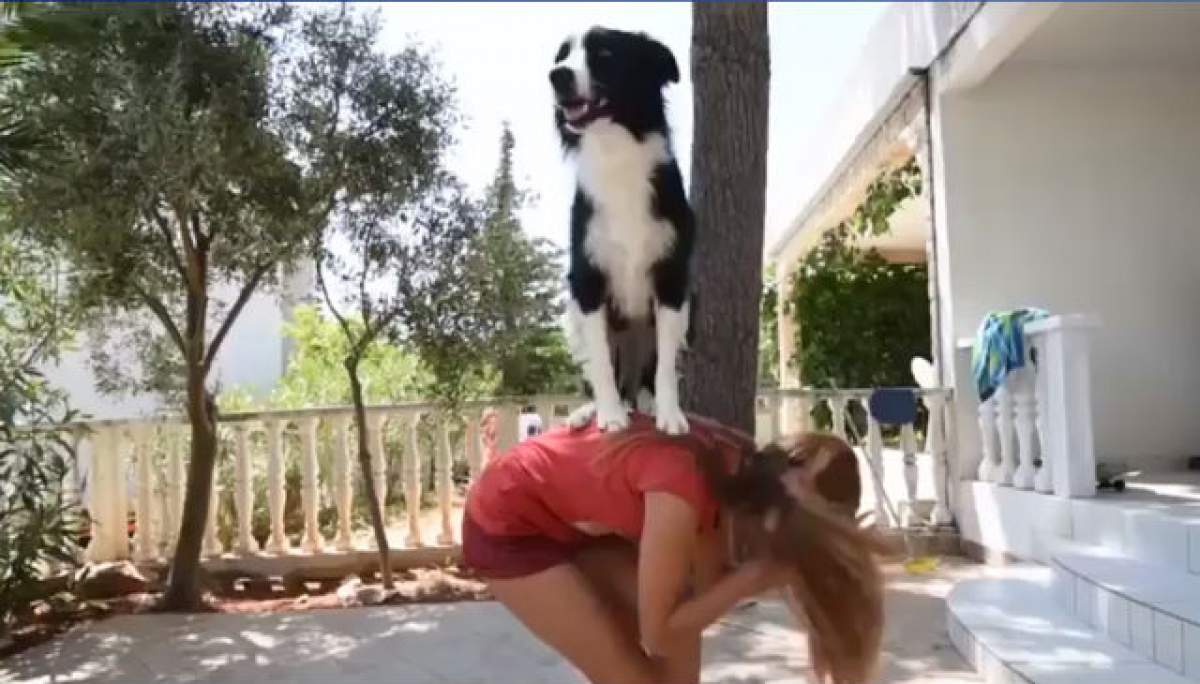 VIDEO/  "Ham" are talent, nu glumă. Câinele acesta a uimit o lume întreagă cu schemele sale
