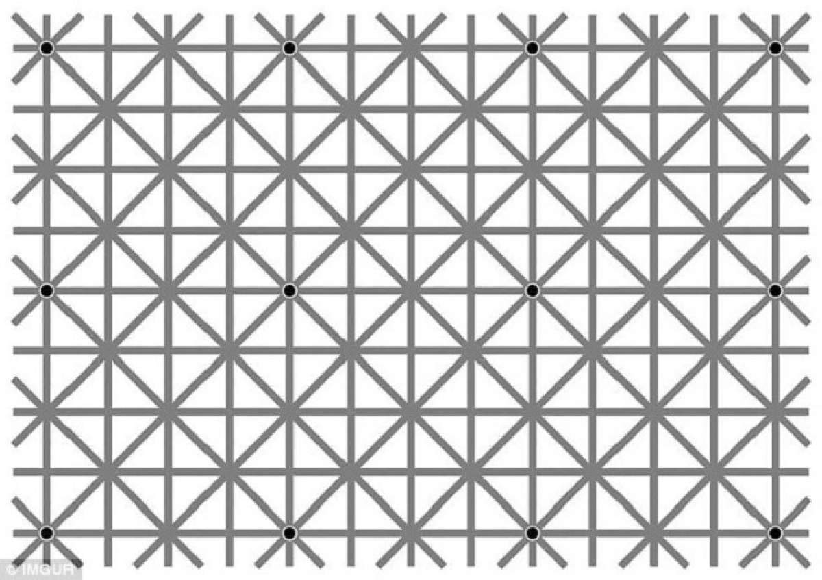 Testul care a înnebunit INTERNAUŢII! Câte puncte negre vezi în imagine. NIMENI NU a REUŞIT să dea răspunsul CORECT!