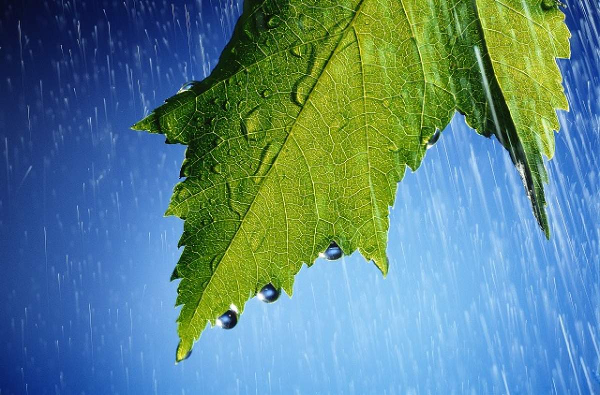 ULTIMĂ ORĂ! Meteorologii au emis COD GALBEN de ploi însoţite de descărcări electrice şi vânt