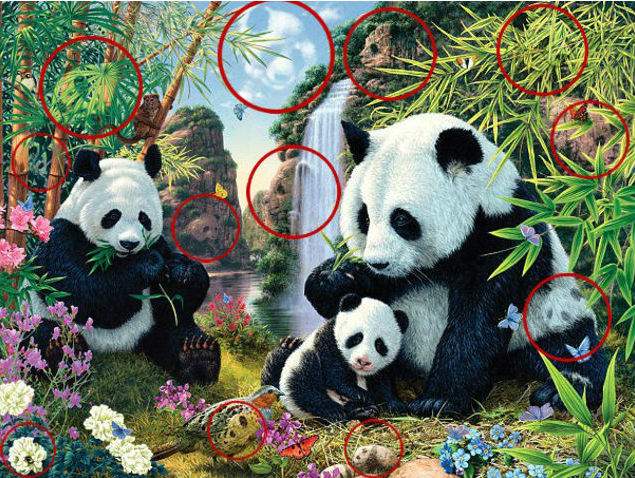 Test! Poţi să-i găseşti pe toţi ceilalţi 12 urşi panda din această fotografie? Mulţi au renunţat după ce au găsit doar 5