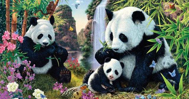 Test! Poţi să-i găseşti pe toţi ceilalţi 12 urşi panda din această fotografie? Mulţi au renunţat după ce au găsit doar 5