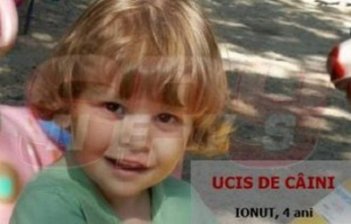 VIDEO / Tatăl lui Ionuţ Anghel, băiatul sfâşiat de câini, traume la doi ani de la moartea micuţului: "Se apropie de copilul meu, speriindu-l"
