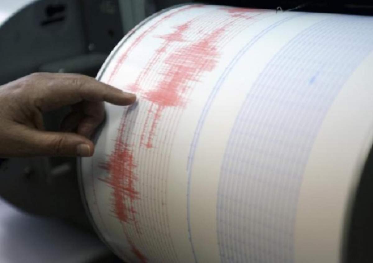 Cutremur de 2,5 grade pe scara Richter în Vrancea