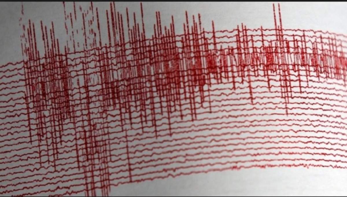 Cutremur de 2,6 grade pe Richter în Vrancea