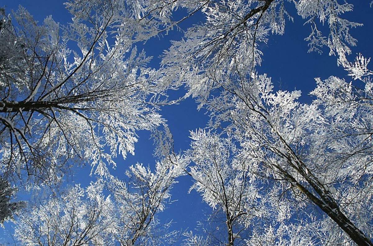 Atenţionare meteo: 11 judeţe din România se află sub cod galben de ceaţă, polei şi depuneri de chiciură