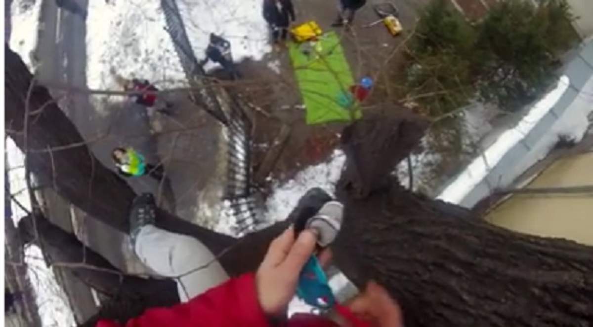 VIDEO / Operaţiune de salvare la limită. S-a urcat în copac ca să salveze o pisică, dar ce au făcut trecătorii întrece olrice imaginaţie