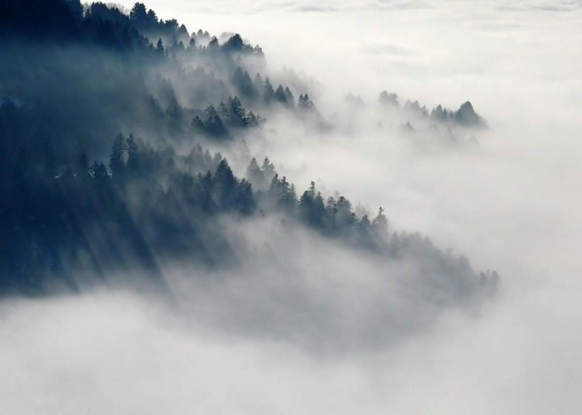 S-a emis o nouă atenţionare meteo! Vezi care sunt zonele afectate de vânt, ceaţă şi depuneri de chiciură