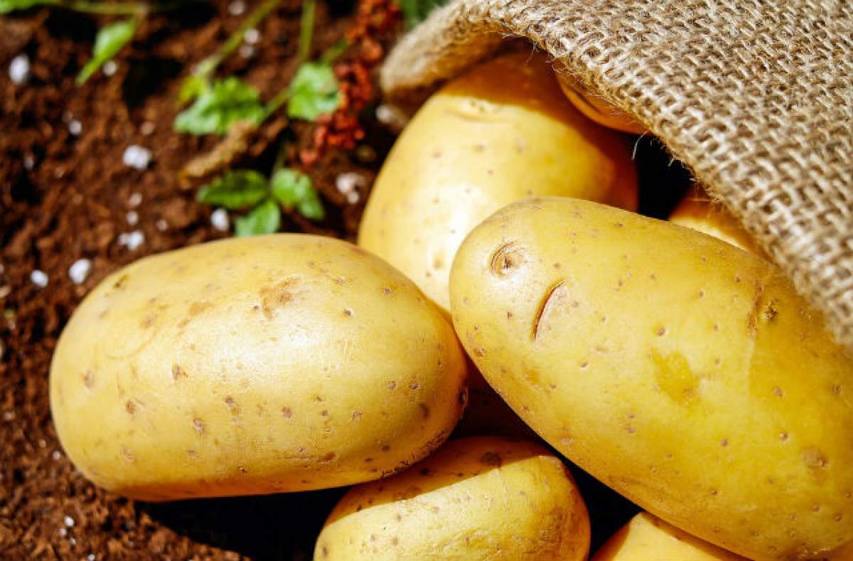 ÎNTREBAREA ZILEI – MARŢI: Ce minuni pentru frumuseţe face cartoful?