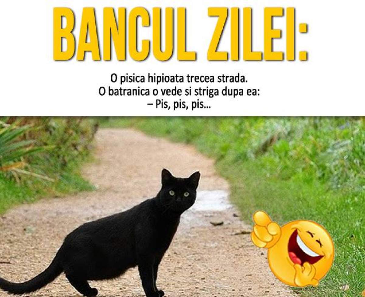 BANCUL ZILEI – DUMINICĂ: "O pisică hipioată trecea strada. O bătrânică o vede şi strigă după ea..."