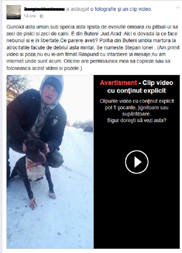 VIDEO / Un arădean torturează animalele cu sânge rece şi le face să se atace între ele: "Omoară cu pitbull-ul lui zeci de pisici si zeci de câini"