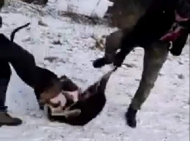 VIDEO / Un arădean torturează animalele cu sânge rece şi le face să se atace între ele: "Omoară cu pitbull-ul lui zeci de pisici si zeci de câini"