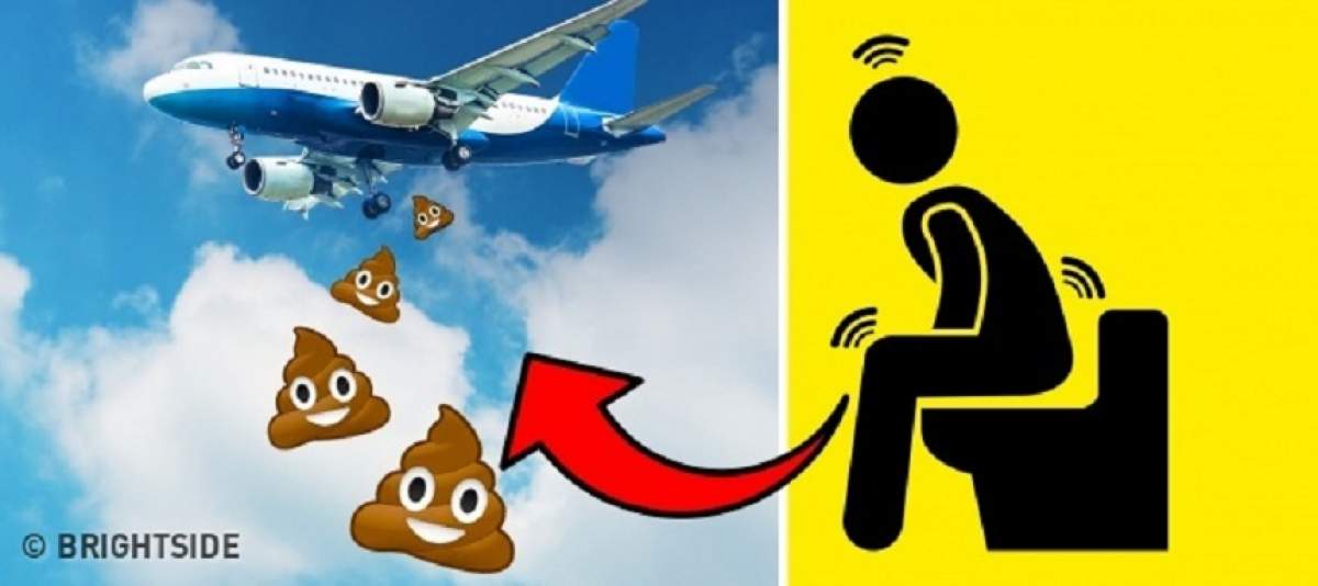 Unde se duc ”treburile murdare” făcute în toaleta unui avion? Nu este ceea ce îți imaginai