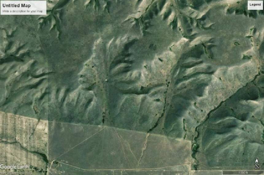FOTO / Ciudățenii ale naturii sau momente de aur? Imaginile au isterizat internetul și au devenit virale