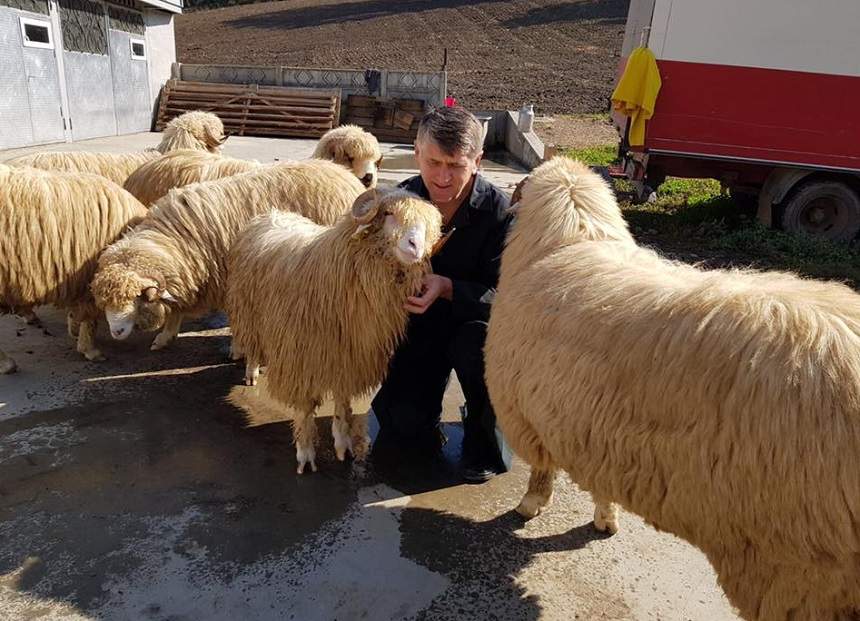 FOTO / Cristian Pomohaci s-a pozat mândru cu animalele lui: "Am îmbăiat berbecuții"! Ce detaliu au observat oamenii în imagini