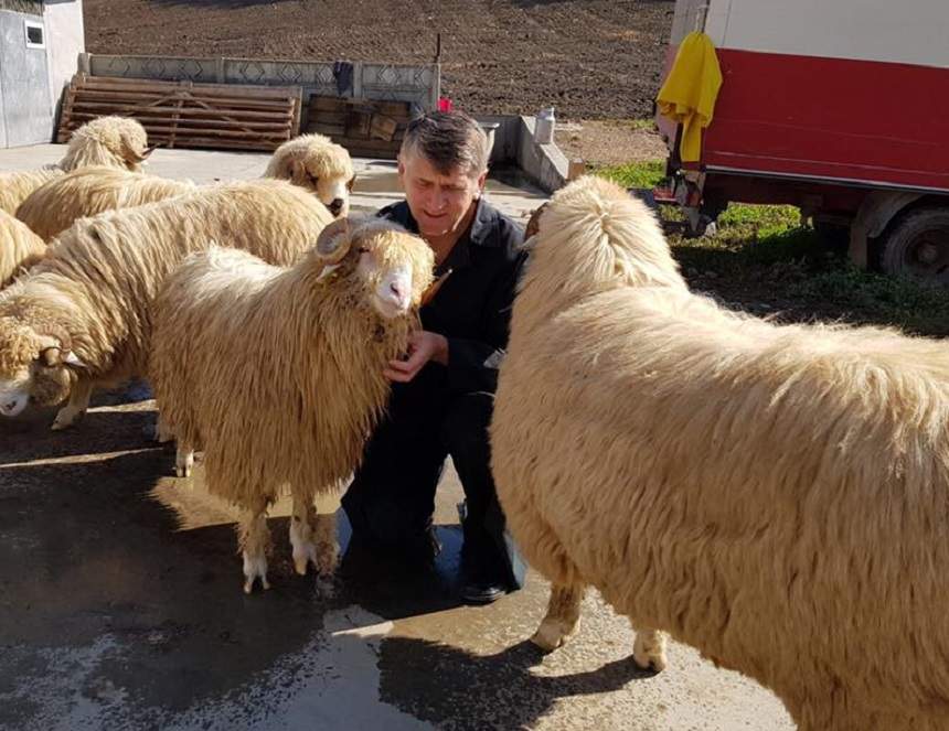 Şocant! Cristian Pomohaci ar fi pus sechestru pe o parte din câştigurile sătenilor! Dezvăluiri uluitoare: "Se strângeau bani pentru..."