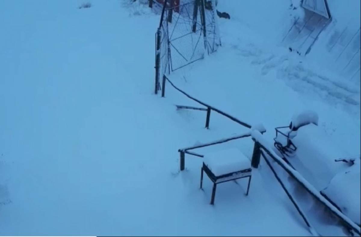 VIDEO / Ninge puternic în România! Stratul de zăpadă a depășit jumătate de metru