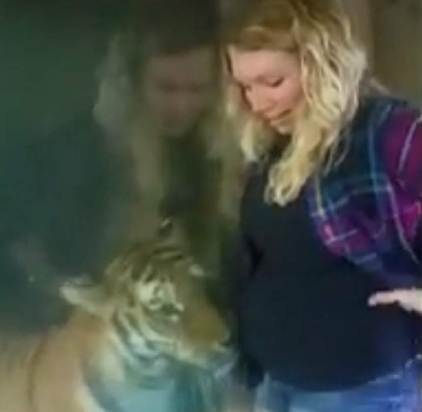 VIDEO / Un tigru s-a apropiat de o femeie însărcinată, ce a urmat îți taie răsuflarea!