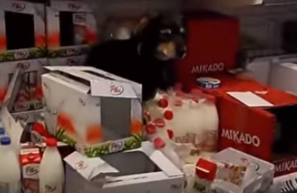 FOTO / Surpriză şocantă! Ce au găsit clienţii pe rafturile unui supermarket i-a şocat