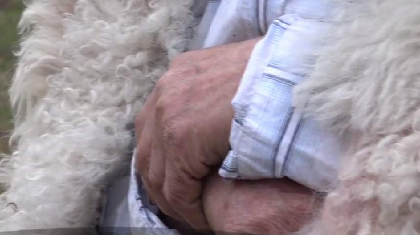 VIDEO / El e românul care are carte de muncă la vârsta de 100 de ani! Cu ce se ocupă