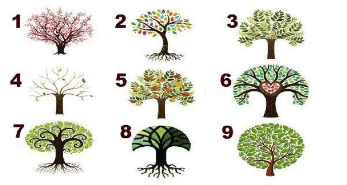 Acest TEST spune multe despre tine! Copacul pe care îl alegi te reprezintă
