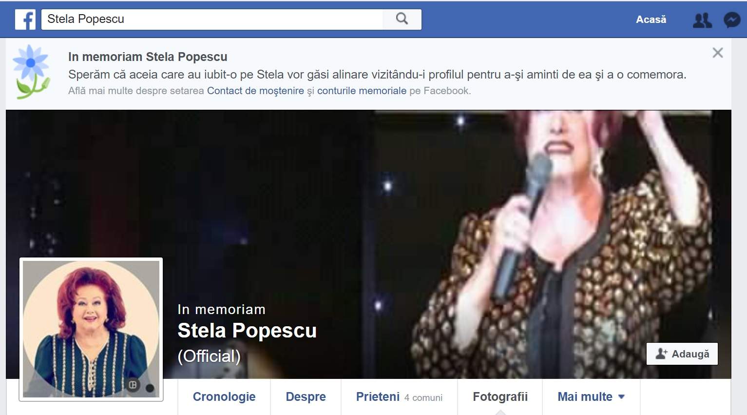 Ce a apărut, astăzi, pe pagina de Facebook a Stelei Popescu!
