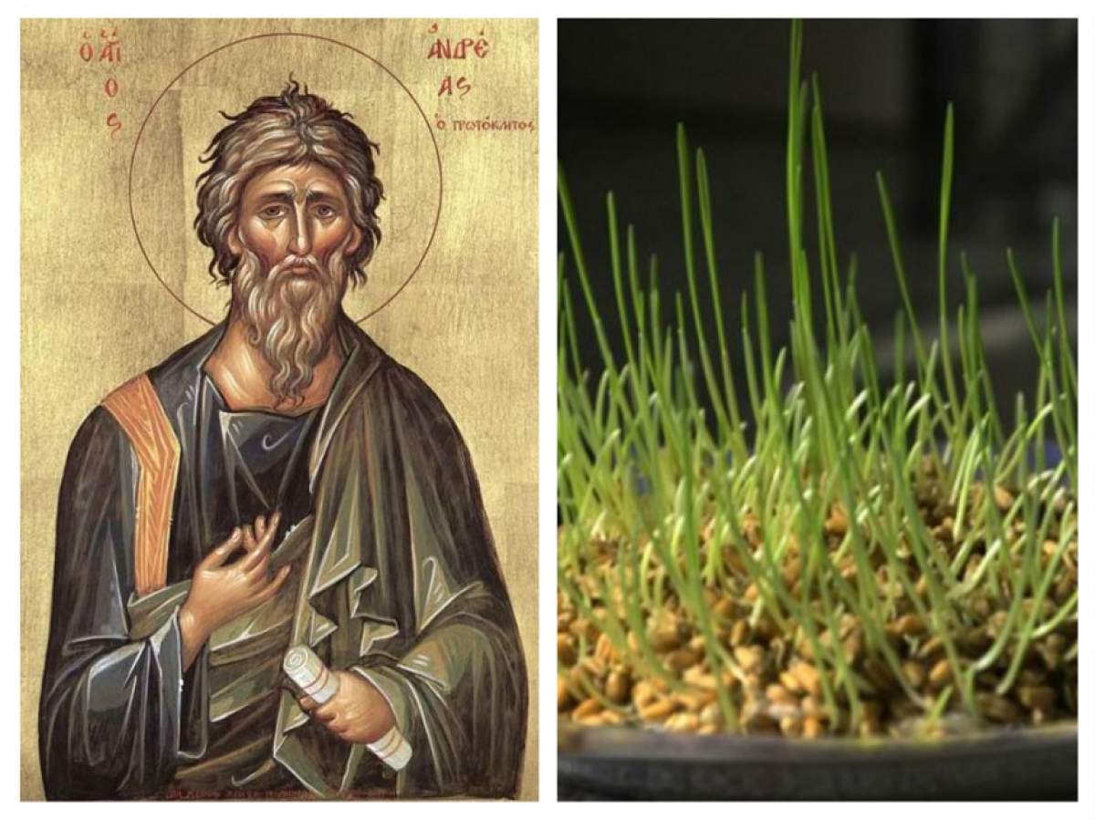 Când, cum şi de ce trebuie să punem grâul la încolţit pentru Sfântul Andrei! Tradiţia care nu moare niciodată