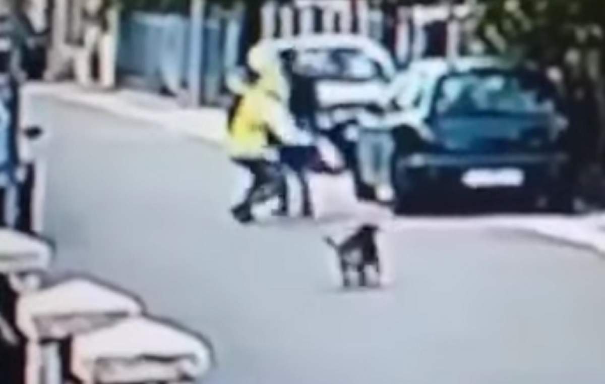 VIDEO / Un câine maidanez a devenit erou, după ce a scăpat o femeie de un hoţ!