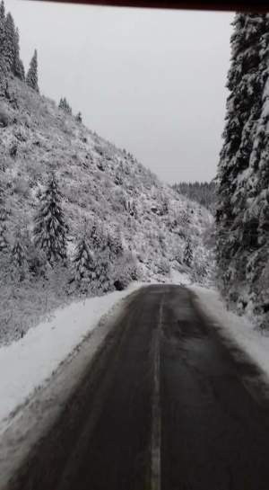 VIDEO / Ninge de 24 de ore în țară! Stratul de zăpadă are 10 cm la Predeal şi Poiana Braşov. Au apărut primele incidente
