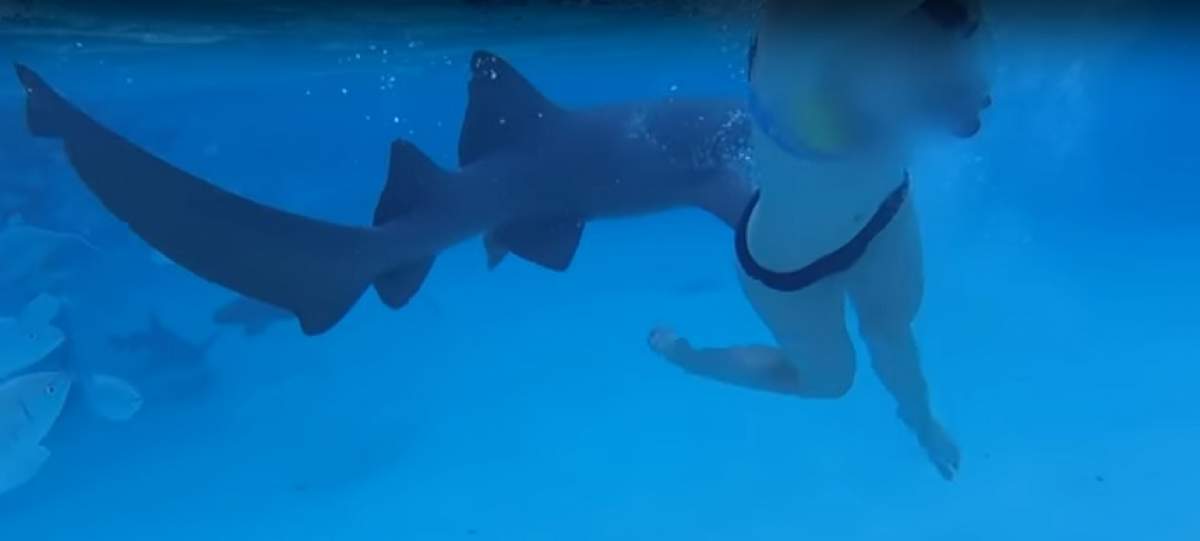 VIDEO / Imaginile care îți vor da coșmaruri. Tânără superbă, atacată de un rechin uriaș