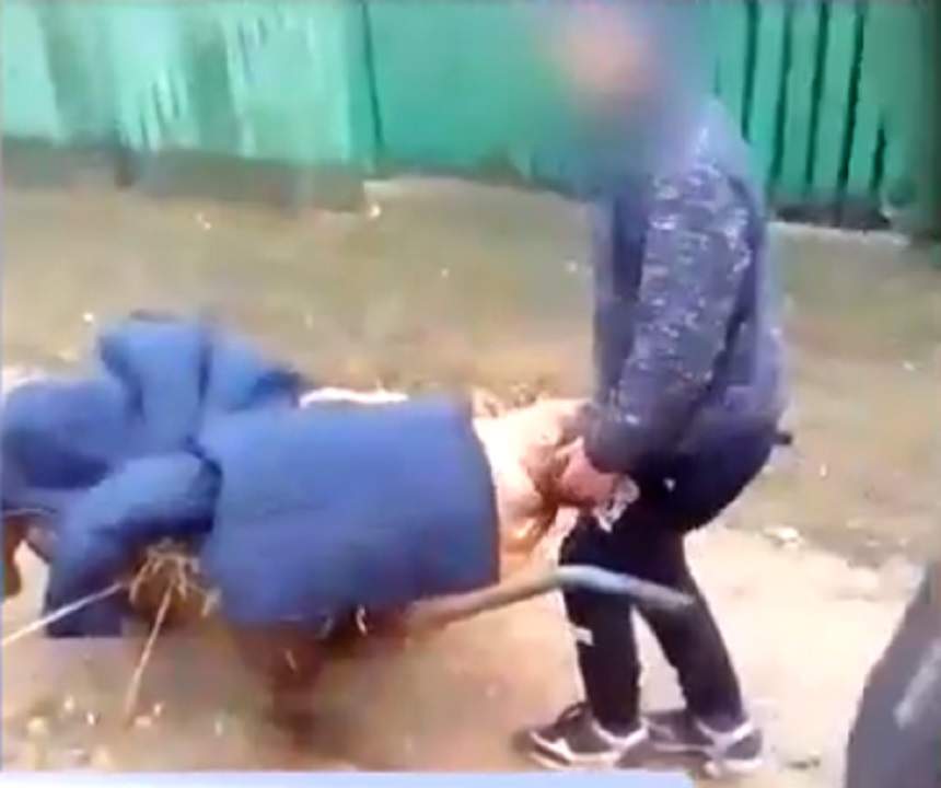 VIDEO / Mamă beată, cărată cu roaba de fiul ei! "După asta nu am ieșit câteva zile din casă, de rușine"