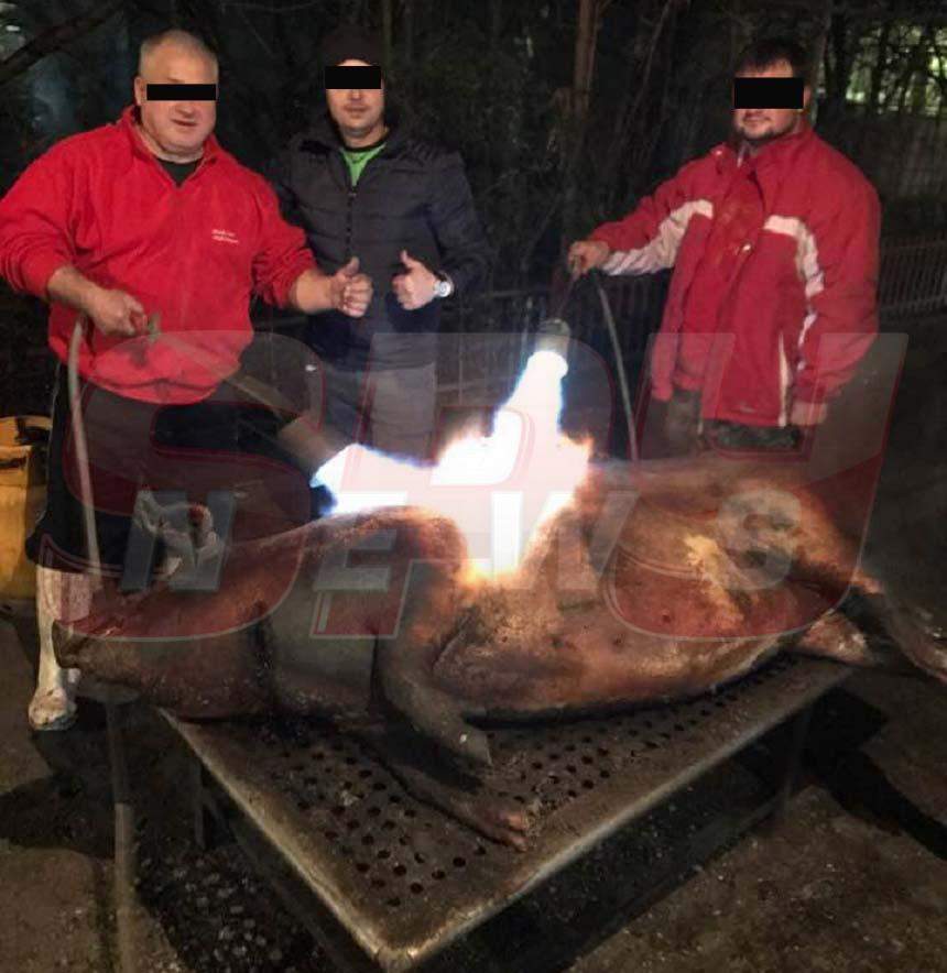 FOTO EXCLUSIV / Lumea i-a numărat zilele, iar pe el îl doare-n cot! Nicu Maharu, chef de chef cu prietenii!