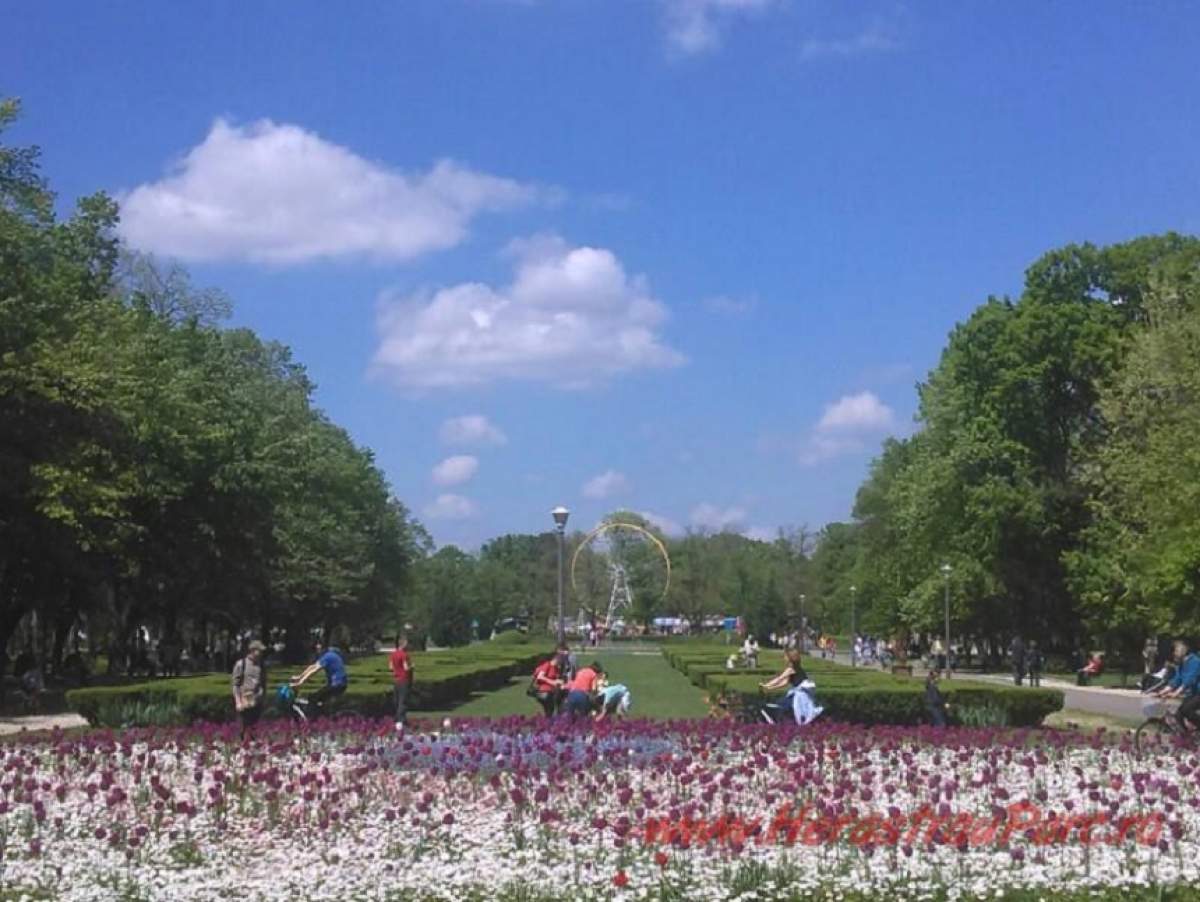 Cel mai mare parc din Bucureşti a fost redenumit "Parcul Regele Mihai I"