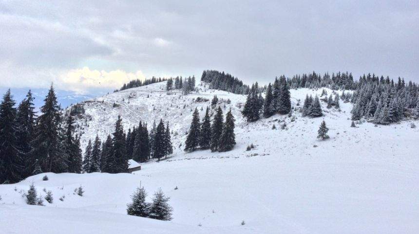 Anunț de ultim moment de la meteorologi. Vine gerul!