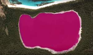FOTO / Imaginile cu un lac roz care te pun pe gânduri. Este un mit sau realitate?