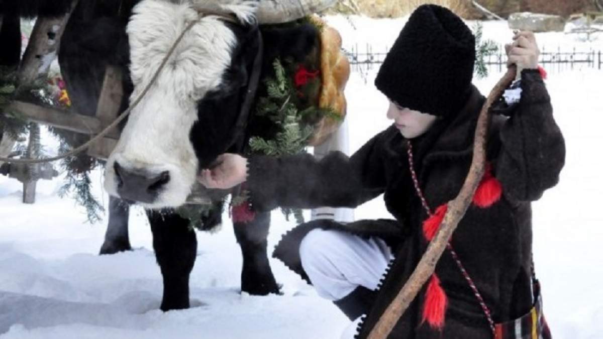 Pluguşorul, un obicei cu semnificaţii puternice