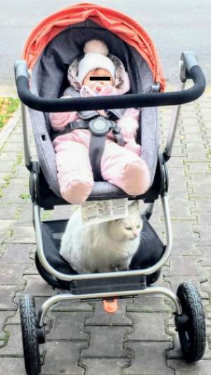 FOTO / Soțul Simonei Gherghe a scos-o pe Ana Georgia la plimbare! Toată lumea s-a uitat la căruciorul micuței