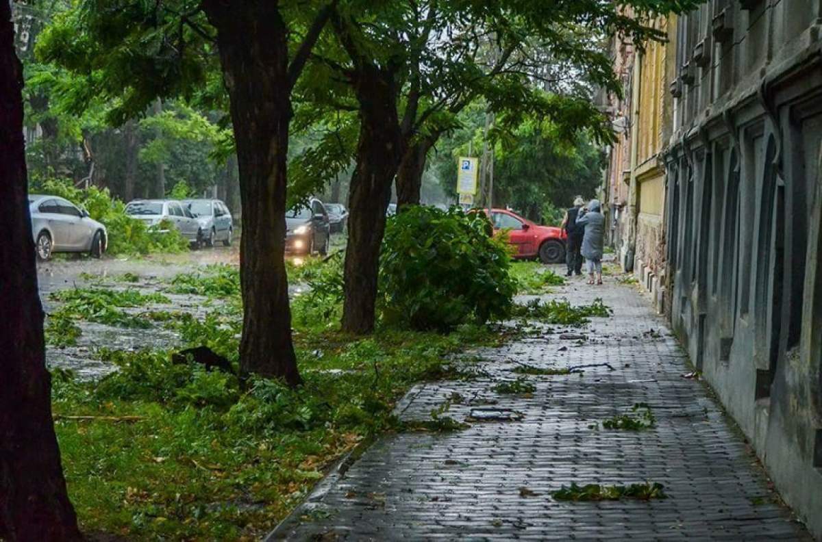 Avertizare meteo de vreme rea: COD GALBEN de vânt și de ninsori