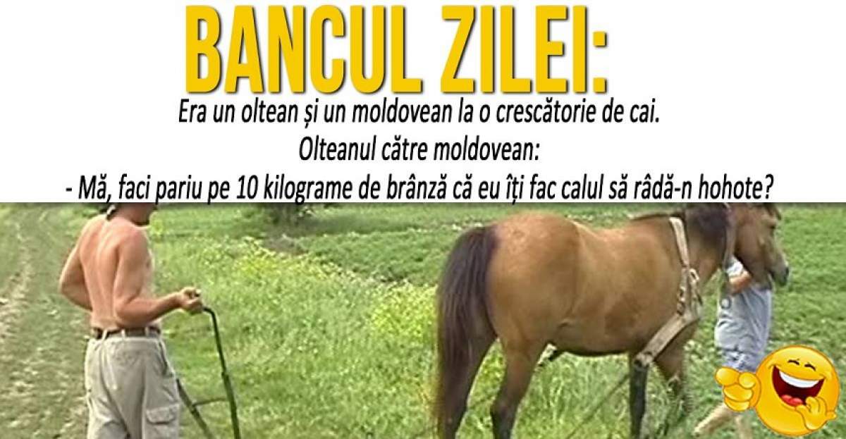 BANCUL ZILEI: "Era un oltean și un moldovean la o crescătorie de cai"
