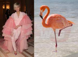 FOTO / Sore sau un flamingo? Toată roz şi cu foarte multă dantelă, artista a fost în centrul atenţiei