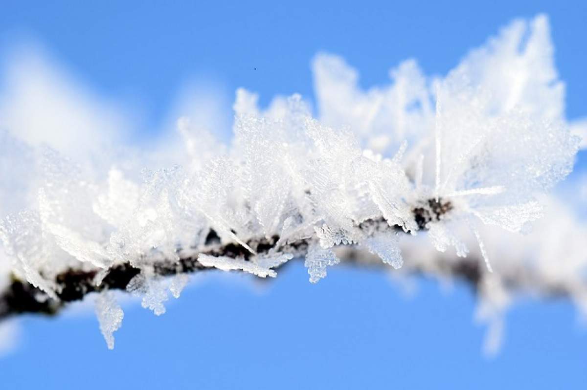 Atenţionare meteo: COD GALBEN de ceaţă, vânt şi depuneri de chiciură