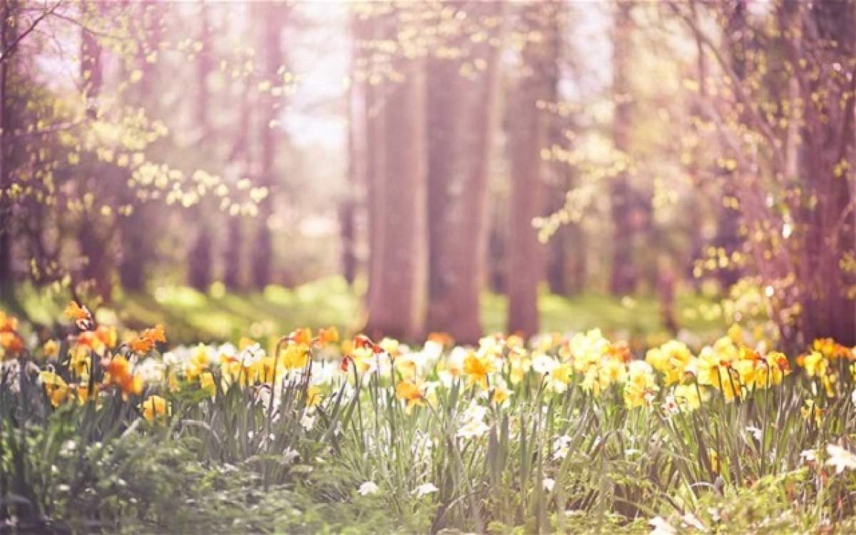 Cum va fi vremea de Paşte. ANM a publicat PROGNOZA METEO până în luna aprilie