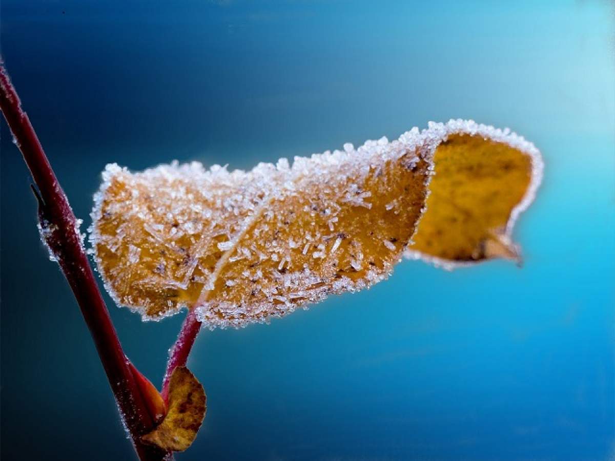 Ceaţă şi depuneri de chiciură în mai multe zone ale României. Care sunt judeţele afectate