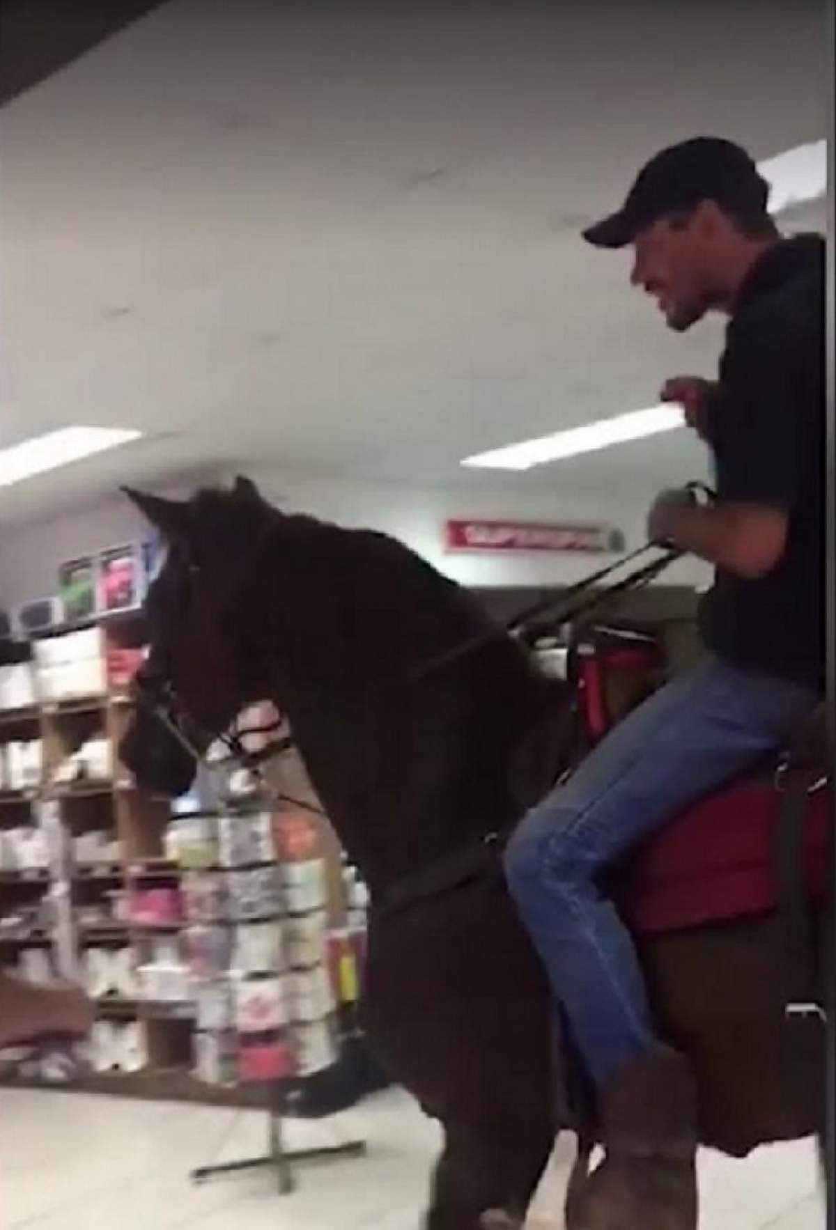 VIDEO /  A intrat cu calul în supermarket! Ce au făcut angajaţii magazinului când acest bărbat gonea călare pe cal printre rafturi. Imaginile au devenit VIRALE
