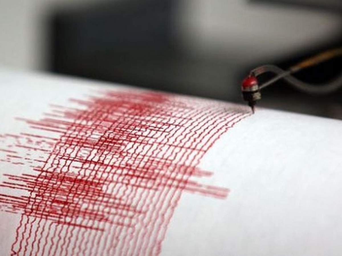 Cutremur de 3,5 grade pe scara Richter, în Vrancea