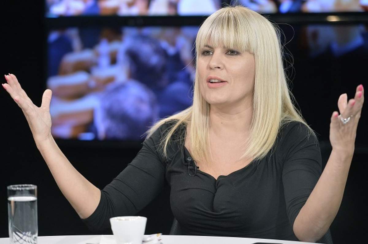 Decizia în dosarul Gala Bute a fost amânată. Elena Udrea riscă o pedeapsa de 21 de ani de închisoare