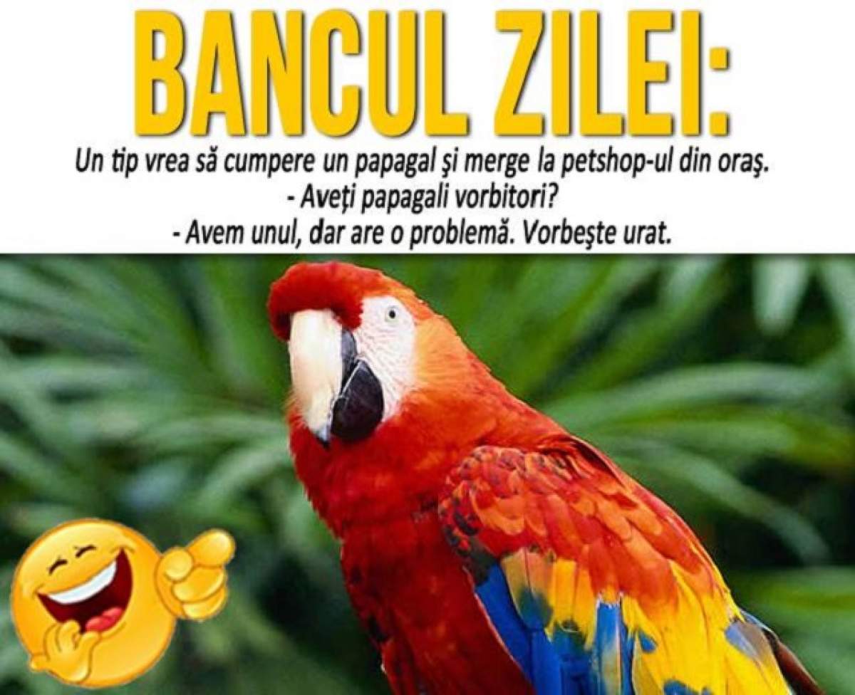 BANCUL ZILEI - MARŢI: Un tip vrea să cumpere un papagal şi merge la petshop-ul din oraş...